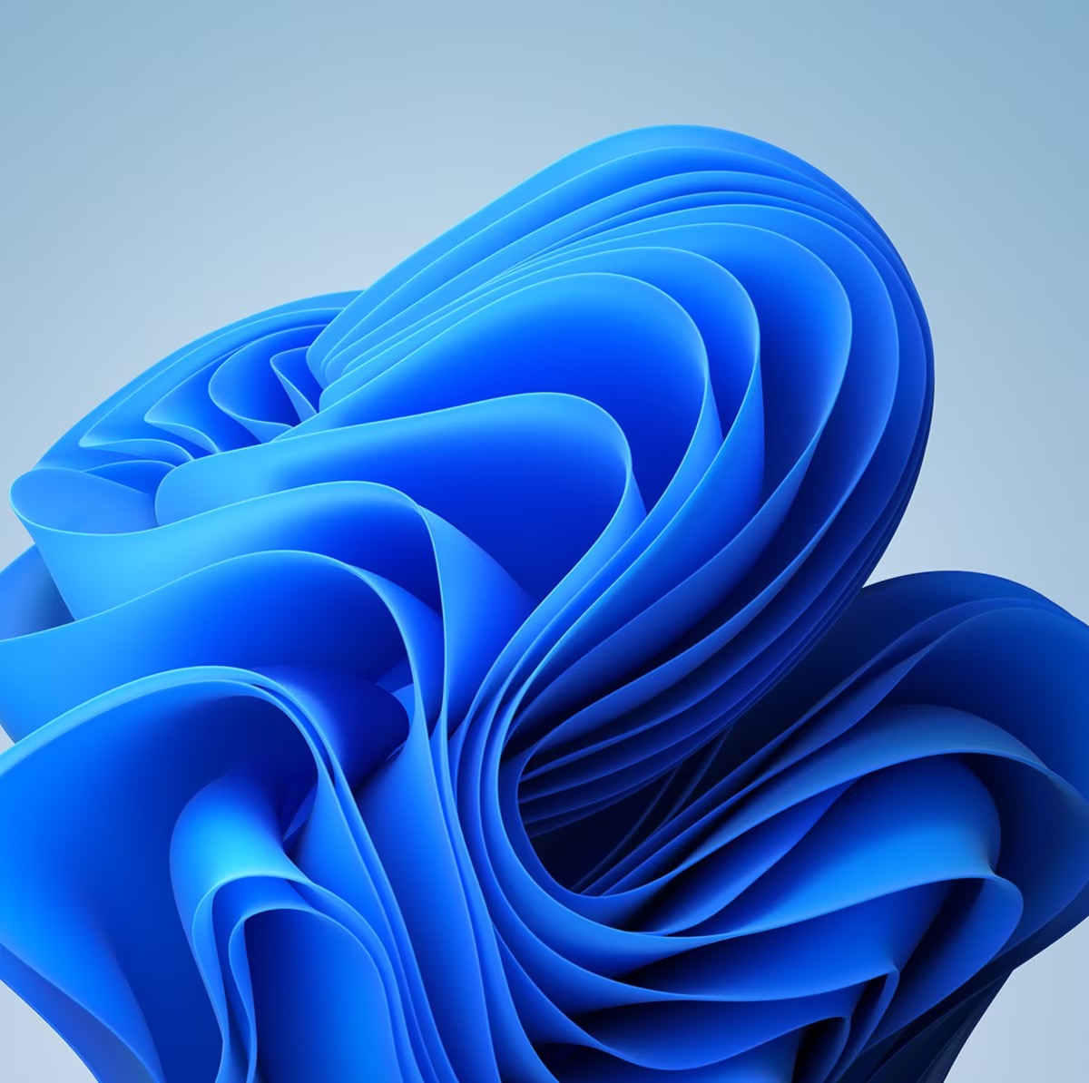 Windows-Search的头像